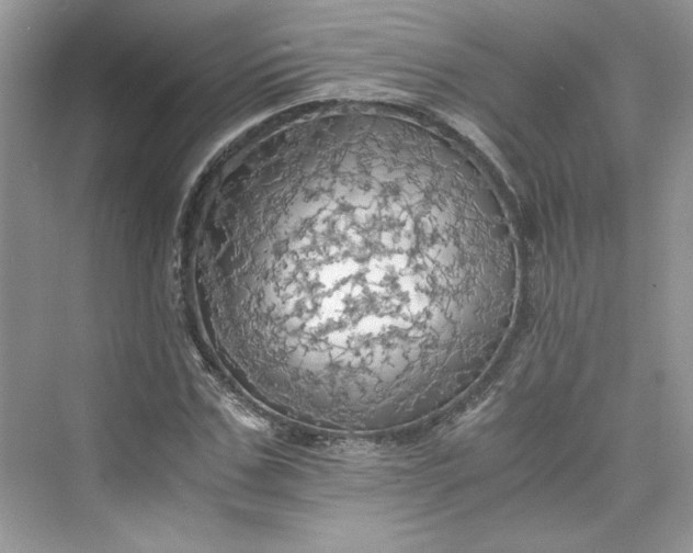 X0000075810971200609291341