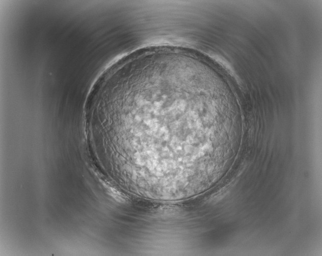 X0000075810974200609291341