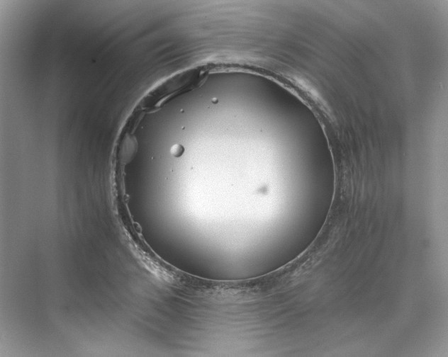 X0000075810976200609291341