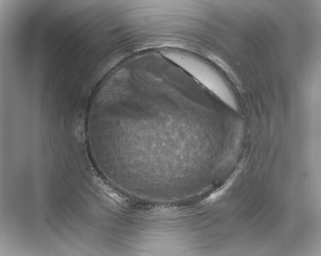 X0000075810977200609291341