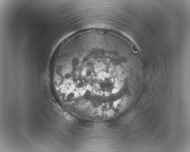 X0000075810979200609291340