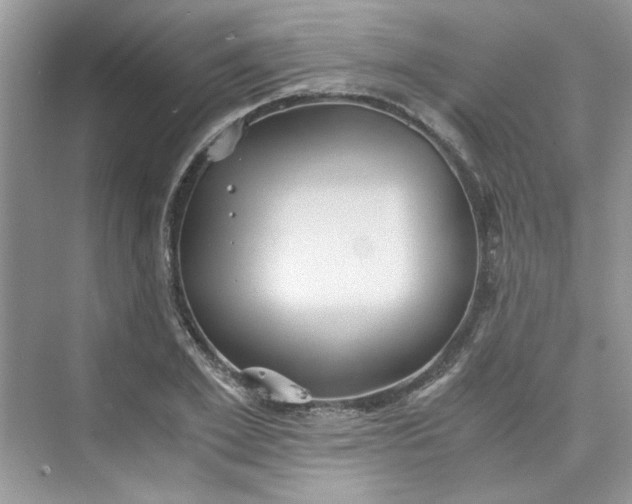 X0000075810981200609291340