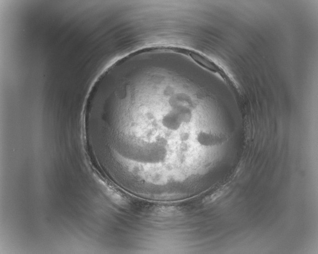 X0000075810982200609291340