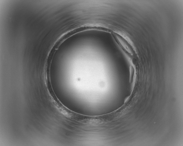 X0000075810984200609291340