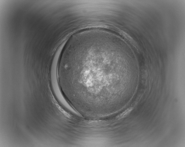 X0000075810985200609291340