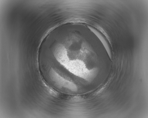 X0000075810986200609291340