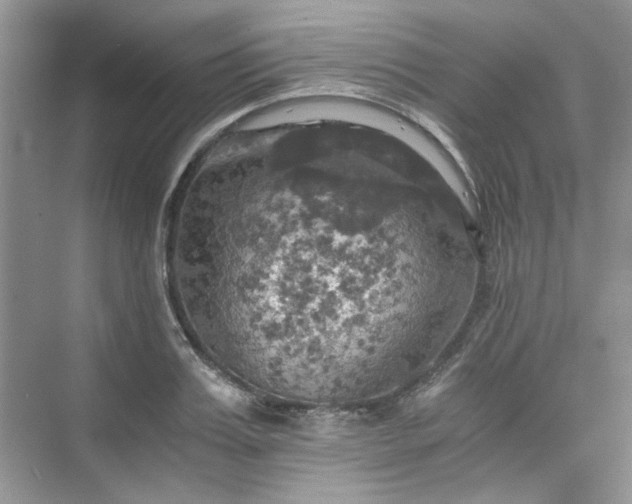 X0000075810987200609291340