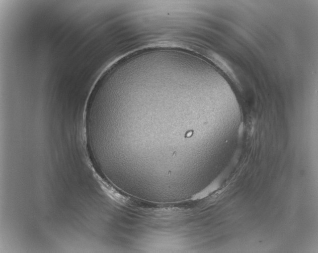 X0000075810988200609291340