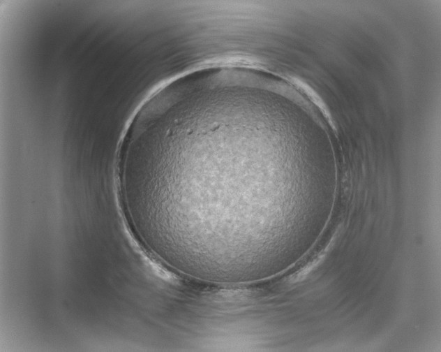 X0000075810989200609291340