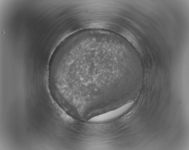 X0000075810992200609291340