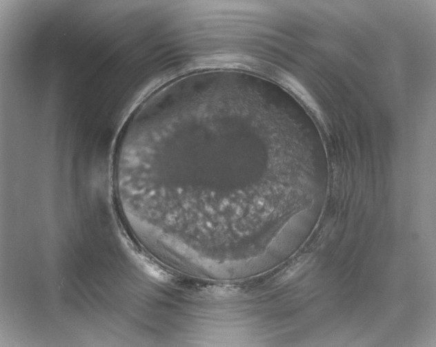 X0000075810994200609291340