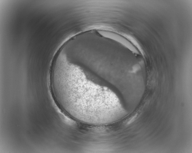 X0000075810999200609291340