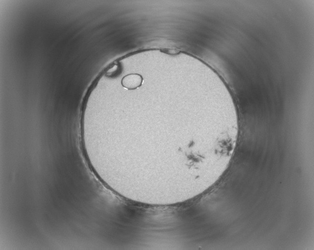 X0000075811000200609291340