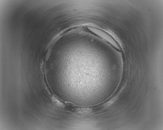 X0000075811001200609291340