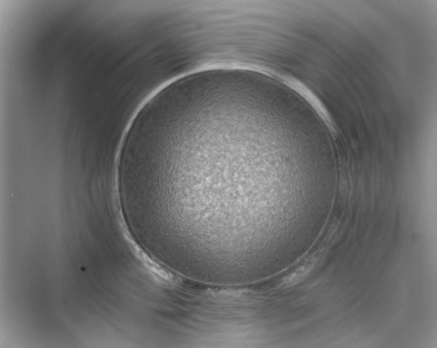 X0000075811004200609291340