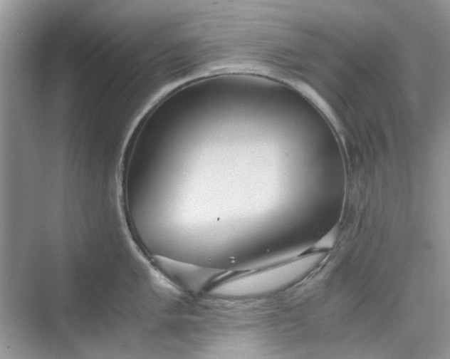 X0000075811005200609291340