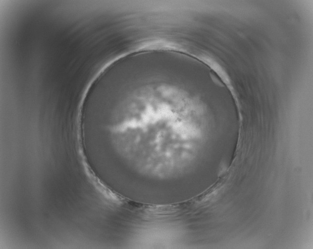 X0000075811008200609291340