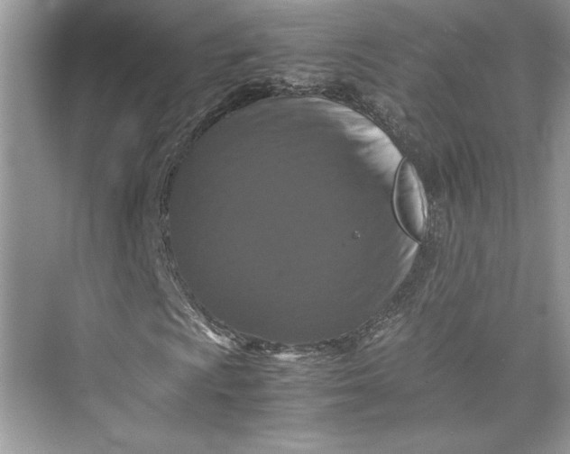 X0000075811009200609291339