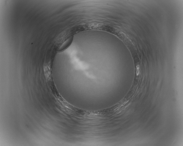 X0000075811011200609291339