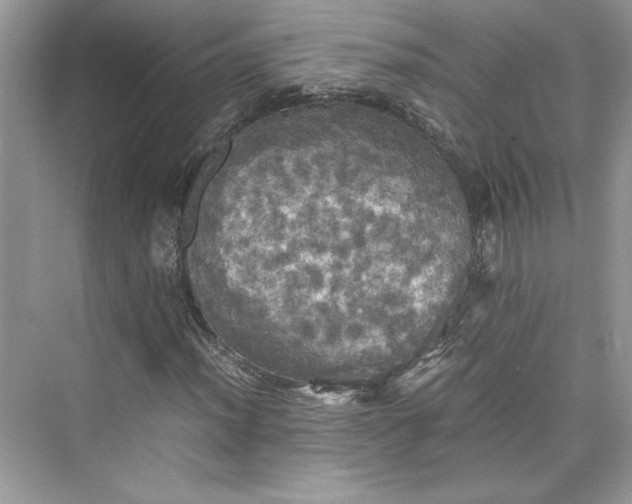 X0000075811012200609291339