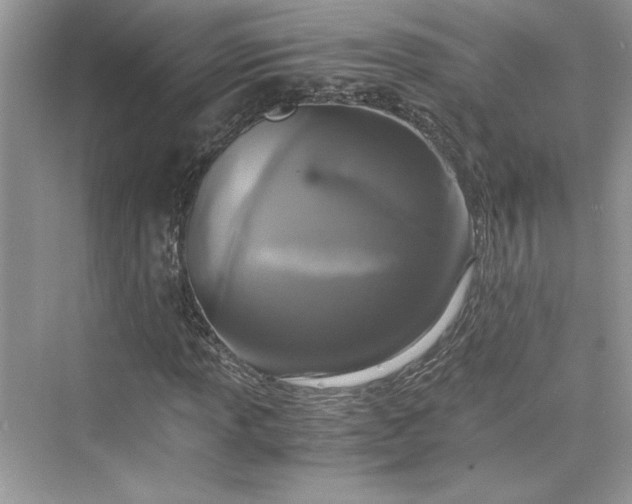 X0000075811013200609291339