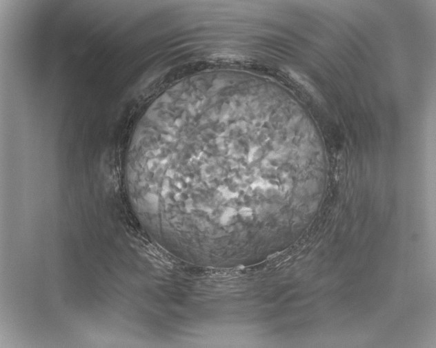 X0000075811015200609291339