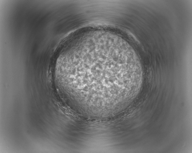 X0000075811016200609291339