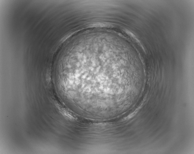 X0000075811017200609291339