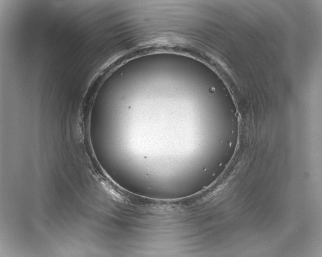 X0000075811018200609291339