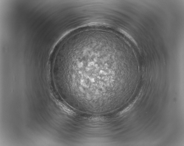 X0000075811021200609291339