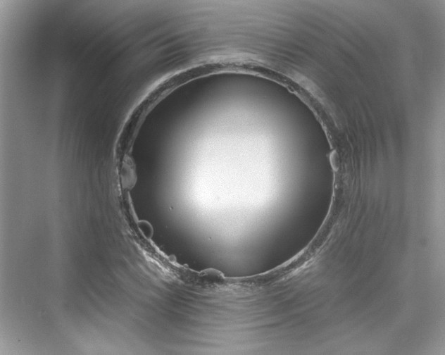 X0000075811022200609291339