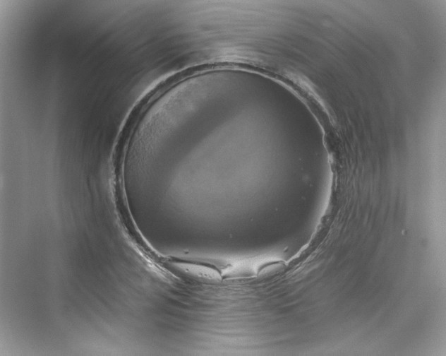 X0000075811024200609291339