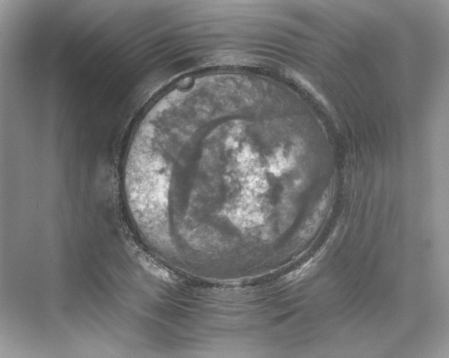 X0000075811025200609291339