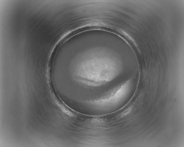 X0000075811029200609291340