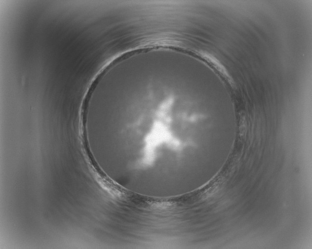 X0000075811031200609291340