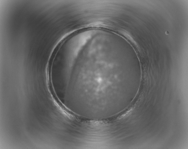 X0000075811032200609291340