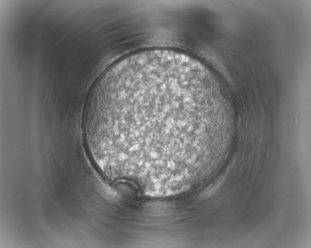 X0000075811033200609291340