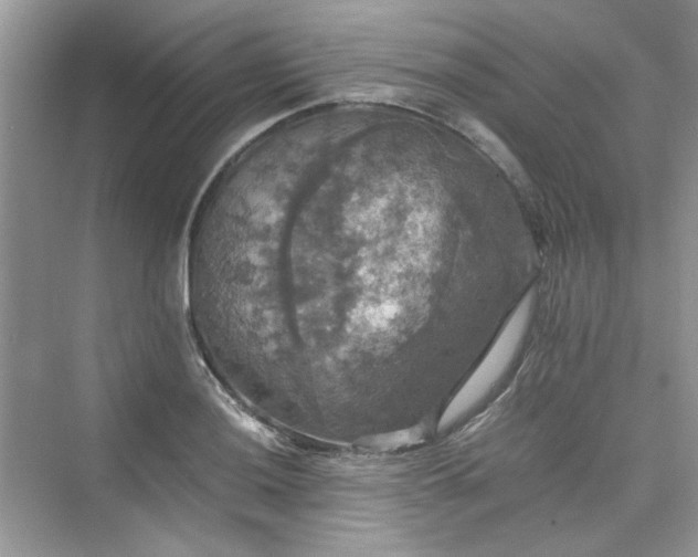 X0000075811036200609291340