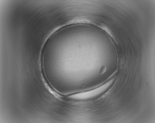 X0000075811038200609291340