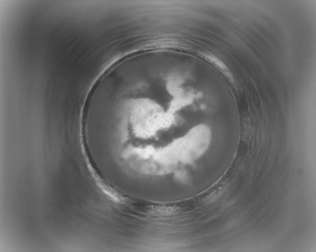 X0000075811039200609291340