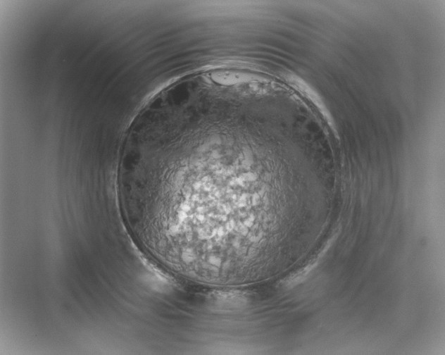 X0000075811041200609291340