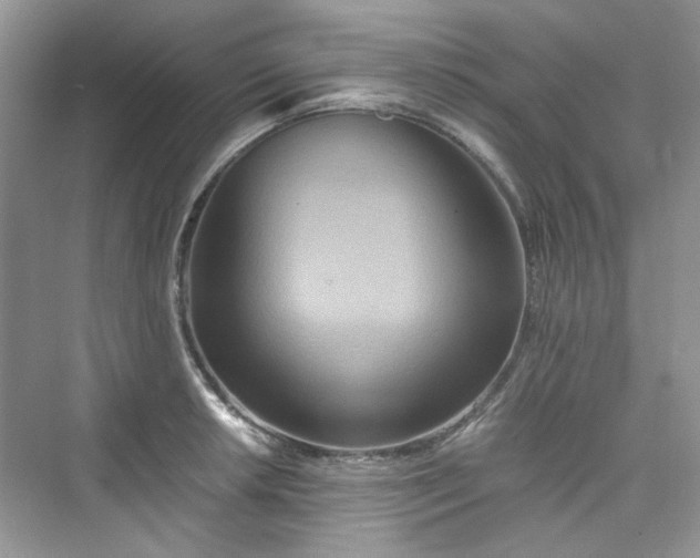 X0000075811042200609291340