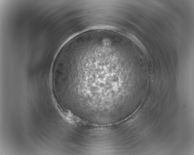 X0000075811044200609291340