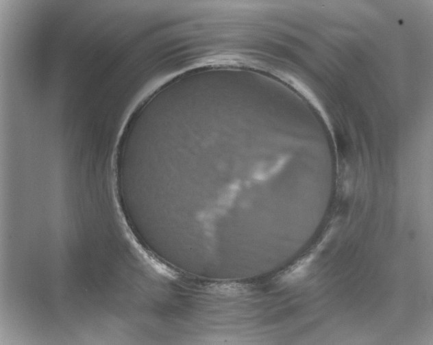 X0000075811045200609291340