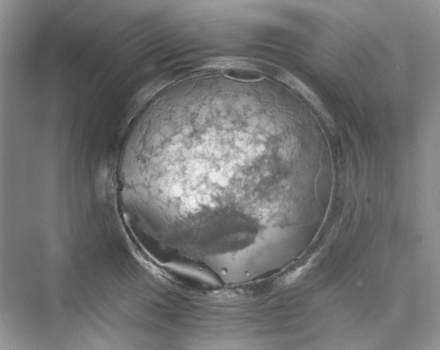 X0000075811049200609291340