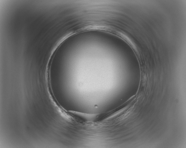 X0000075811050200609291340