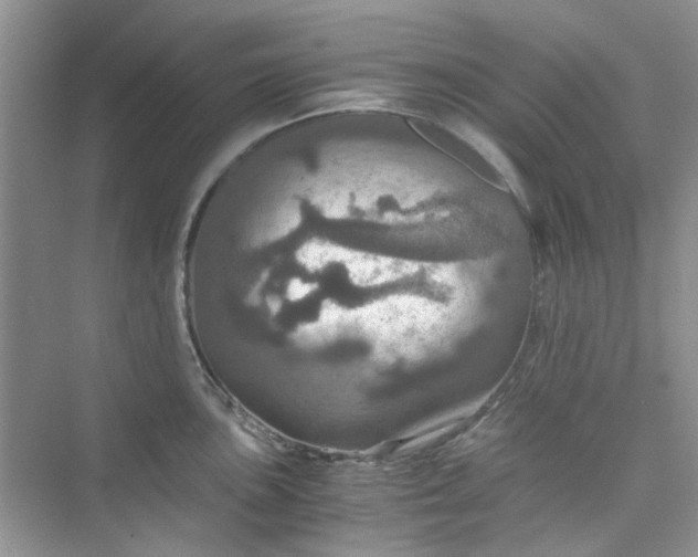 X0000075811051200609291340