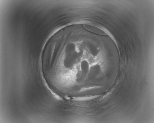 X0000075811053200609291340