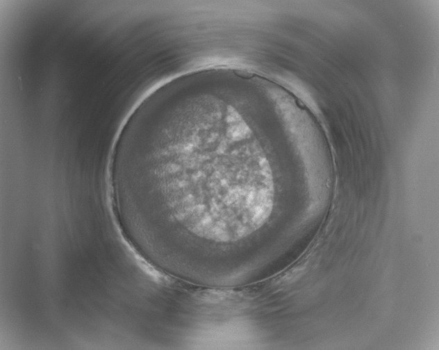 X0000075811056200609291340