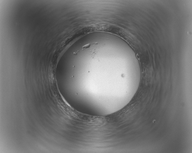 X0000075811058200609291339